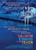 电影《到也门钓鲑鱼 Salmon Fishing in the Yemen(2011)》-蓝光4K/1080P/720P/360P高清标清网盘百度云BT种子磁力迅雷下载