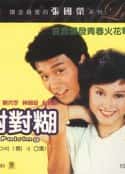 电视剧《对对糊 對對糊(1981)》-蓝光4K/1080P/720P/360P高清标清网盘百度云BT种子磁力迅雷下载