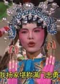 电视剧《龙凤呈祥(1994)》-蓝光4K/1080P/720P/360P高清标清网盘百度云BT种子磁力迅雷下载