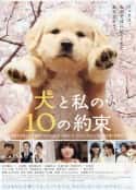 电影《狗狗与我的十个约定 犬と私の10の約束(2008)》-蓝光4K/1080P/720P/360P高清标清网盘百度云BT种子磁力迅雷下载