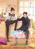 电视剧《那小子不可爱(2022)》-蓝光4K/1080P/720P/360P高清标清网盘百度云BT种子磁力迅雷下载