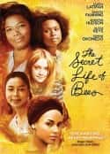 电影《蜜蜂的秘密生活 The Secret Life of Bees(2008)》-蓝光4K/1080P/720P/360P高清标清网盘百度云BT种子磁力迅雷下载