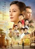 电视剧《妈妈在等你(2021)》-蓝光4K/1080P/720P/360P高清标清网盘百度云BT种子磁力迅雷下载