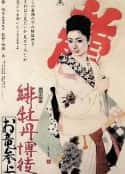 电影《红牡丹赌徒：拜见阿龙 緋牡丹博徒 お竜参上(1970)》-蓝光4K/1080P/720P/360P高清标清网盘百度云BT种子磁力迅雷下载