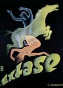 电影《入谜 Ekstase(1933)》-蓝光4K/1080P/720P/360P高清标清网盘百度云BT种子磁力迅雷下载