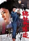 电影《红牡丹赌徒：仁义通过 緋牡丹博徒 仁義通します(1972)》-蓝光4K/1080P/720P/360P高清标清网盘百度云BT种子磁力迅雷下载
