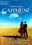 电影《深深的腥红 Profundo carmesí(1996)》-蓝光4K/1080P/720P/360P高清标清网盘百度云BT种子磁力迅雷下载