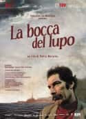 电影《狼的嘴 La bocca del lupo(2009)》-蓝光4K/1080P/720P/360P高清标清网盘百度云BT种子磁力迅雷下载