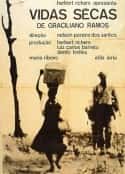 电影《艰辛岁月 Vidas Secas(1963)》-蓝光4K/1080P/720P/360P高清标清网盘百度云BT种子磁力迅雷下载