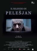 电影《佩莱希扬的沉默 Il silenzio di Pelesjan(2011)》-蓝光4K/1080P/720P/360P高清标清网盘百度云BT种子磁力迅雷下载