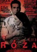 电影《罗丝的遭遇 Róza(2011)》-蓝光4K/1080P/720P/360P高清标清网盘百度云BT种子磁力迅雷下载
