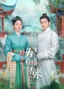 电视剧《为有暗香来(2023)》-蓝光4K/1080P/720P/360P高清标清网盘百度云BT种子磁力迅雷下载