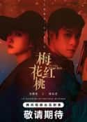 电视剧《梅花红桃(2023)》-蓝光4K/1080P/720P/360P高清标清网盘百度云BT种子磁力迅雷下载