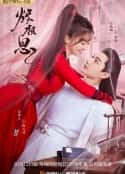 电视剧《烬相思(2023)》-蓝光4K/1080P/720P/360P高清标清网盘百度云BT种子磁力迅雷下载