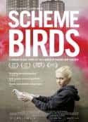 电影《危巢青春 Scheme Birds(2018)》-蓝光4K/1080P/720P/360P高清标清网盘百度云BT种子磁力迅雷下载