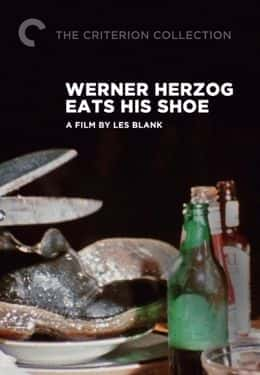 Herzog Eats his Shoe - 纪录片1080P/720P/360P高清标清网盘迅雷下载