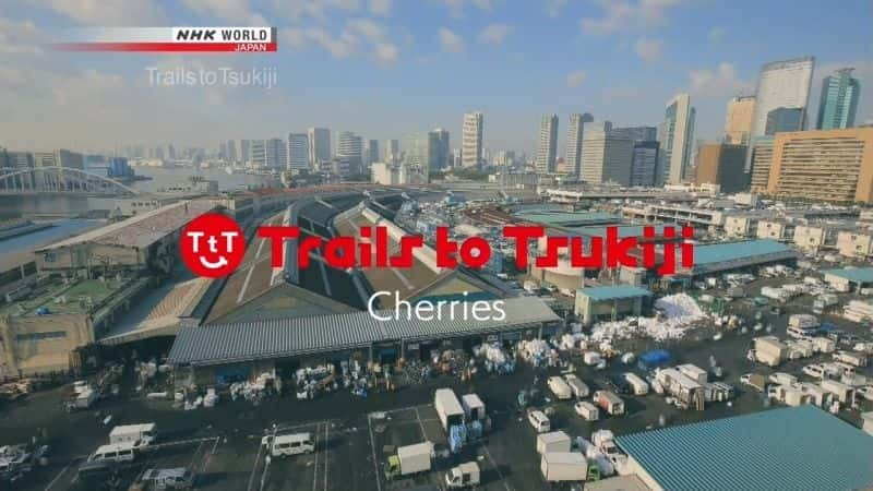 Trails to Tsukiji - Cherries - 纪录片1080P/720P/360P高清标清网盘迅雷下载