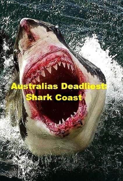 Australia's Deadliest: Shark Coast - 纪录片1080P/720P/360P高清标清网盘迅雷下载