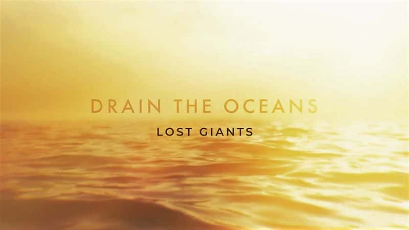 Drain the Oceans Series 2: Part 13 Lost Giants - 纪录片1080P/720P/360P高清标清网盘迅雷下载