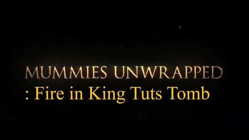 Mummies Unwrapped: Fire in King Tuts Tomb - 纪录片1080P/720P/360P高清标清网盘迅雷下载