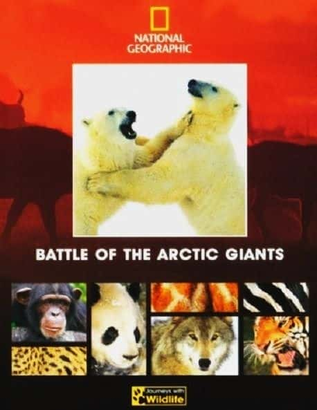 Battle of the Arctic Giants - 纪录片1080P/720P/360P高清标清网盘迅雷下载