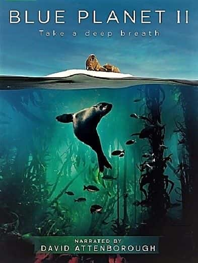 Blue Planet II Part 7: Our Blue Planet - 纪录片1080P/720P/360P高清标清网盘迅雷下载