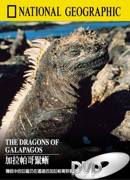 The Dragons of Galapagos - 纪录片1080P/720P/360P高清标清网盘迅雷下载