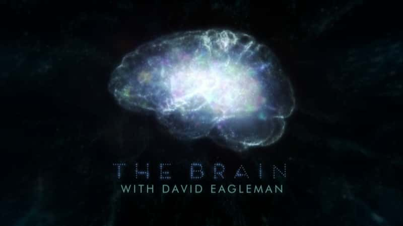 The Brain with David Eagleman - 纪录片1080P/720P/360P高清标清网盘迅雷下载