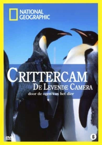 Crittercam - 纪录片1080P/720P/360P高清标清网盘迅雷下载