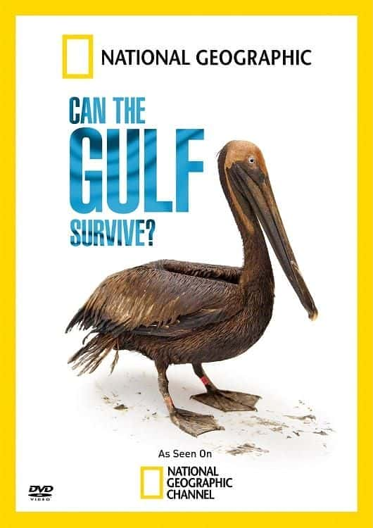 Can the Gulf Survive - 纪录片1080P/720P/360P高清标清网盘迅雷下载