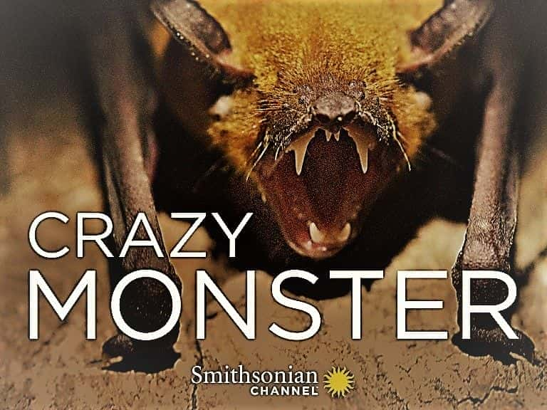 Crazy Monster: Series 1 - 纪录片1080P/720P/360P高清标清网盘迅雷下载