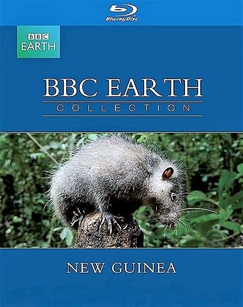 New Guinea - 纪录片1080P/720P/360P高清标清网盘迅雷下载 New Guinea - 纪录片1080P/720P/360P高清标清网盘迅雷下载