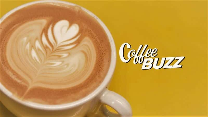 Coffee Buzz - 纪录片1080P/720P/360P高清标清网盘迅雷下载