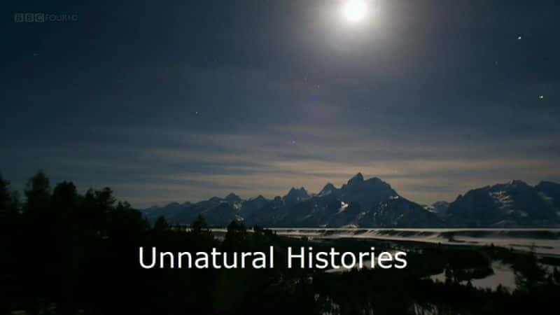 Unnatural Histories (BBC) - 纪录片1080P/720P/360P高清标清网盘迅雷下载