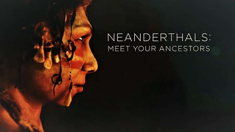 Neanderthals: Meet Your Ancestors Series 1 - 纪录片1080P/720P/360P高清标清网盘迅雷下载