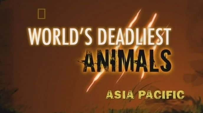 Asia Pacific - 纪录片1080P/720P/360P高清标清网盘迅雷下载