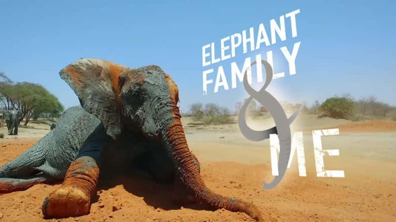 Elephant Family and Me - 纪录片1080P/720P/360P高清标清网盘迅雷下载