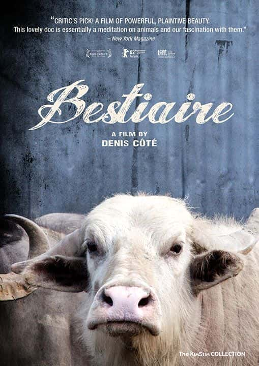 Bestiaire - 纪录片1080P/720P/360P高清标清网盘迅雷下载