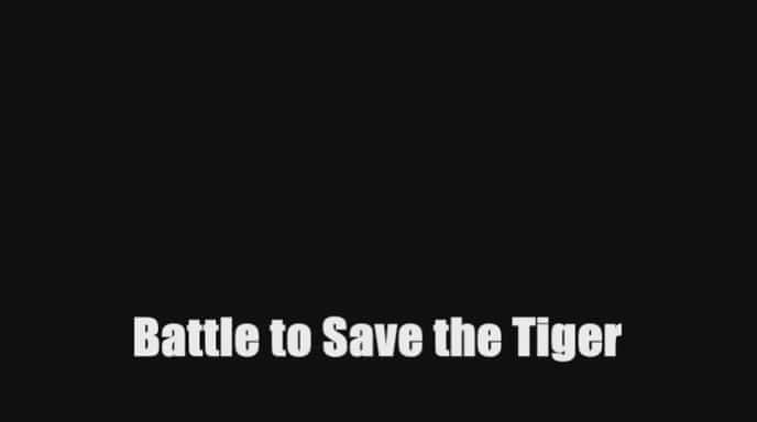 Battle to Save the Tiger - 纪录片1080P/720P/360P高清标清网盘迅雷下载