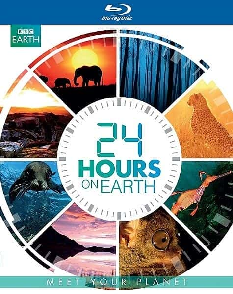 24 Hours on Earth: Series 1 - 纪录片1080P/720P/360P高清标清网盘迅雷下载