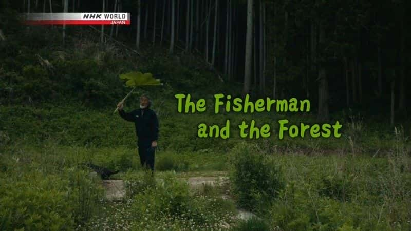 The Fisherman and the Forest - 纪录片1080P/720P/360P高清标清网盘迅雷下载