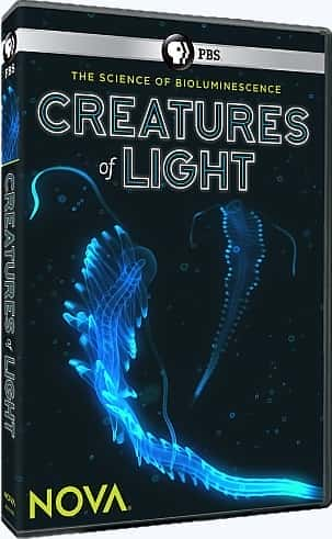 Creatures of Light - 纪录片1080P/720P/360P高清标清网盘迅雷下载