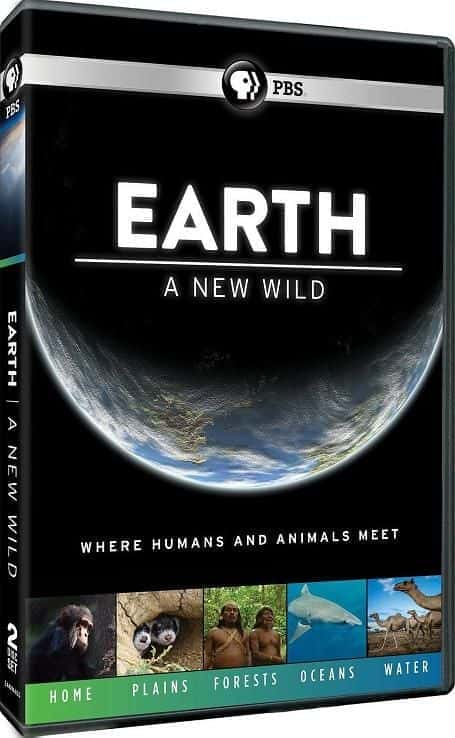 EARTH a New Wild: Series 1 - 纪录片1080P/720P/360P高清标清网盘迅雷下载