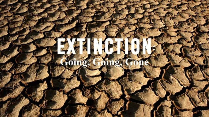 Extinction: Going, Going, Gone - 纪录片1080P/720P/360P高清标清网盘迅雷下载