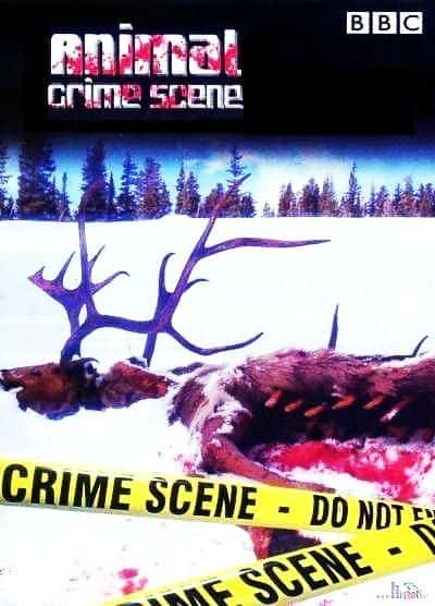 Animal Crime Scene (BBC ) - 纪录片1080P/720P/360P高清标清网盘迅雷下载