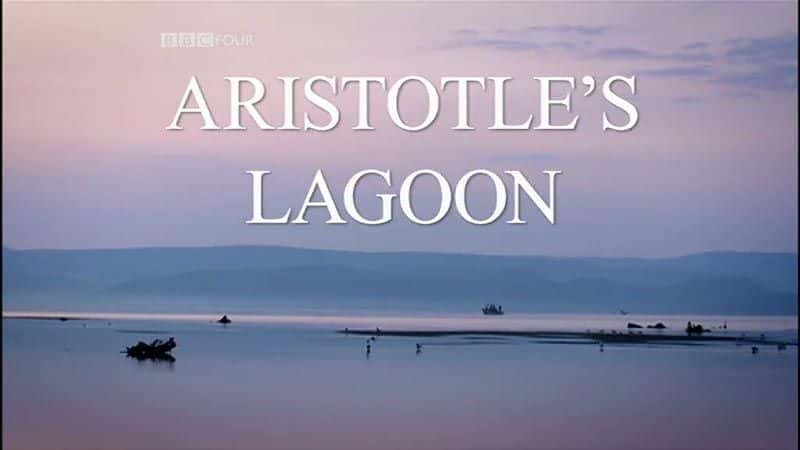 Aristotle's Lagoon - 纪录片1080P/720P/360P高清标清网盘迅雷下载