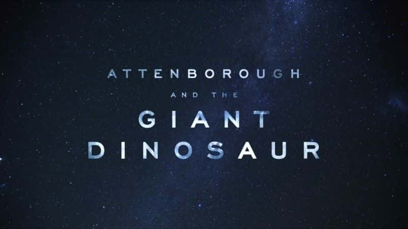 Attenborough and the Giant Dinosaur (BBC 1080p) - 纪录片1080P/720P/360P高清标清网盘迅雷下载