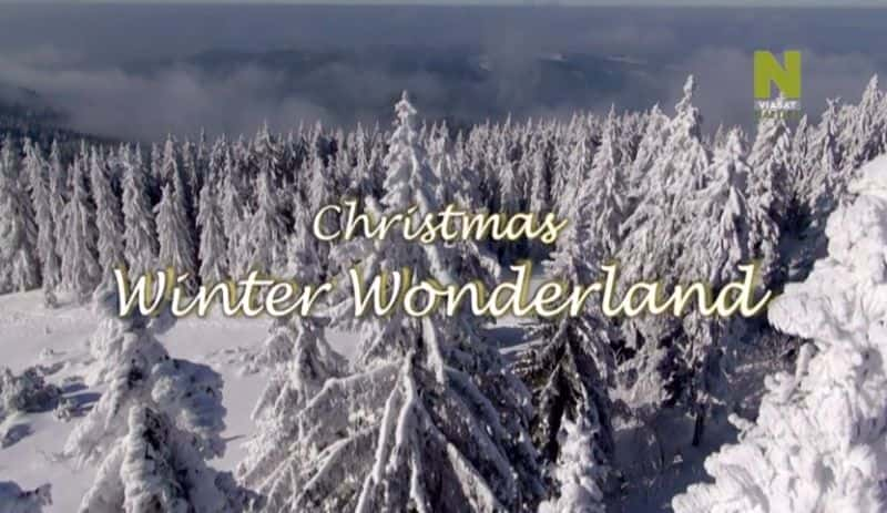 Christmas Winter Wonderland - 纪录片1080P/720P/360P高清标清网盘迅雷下载