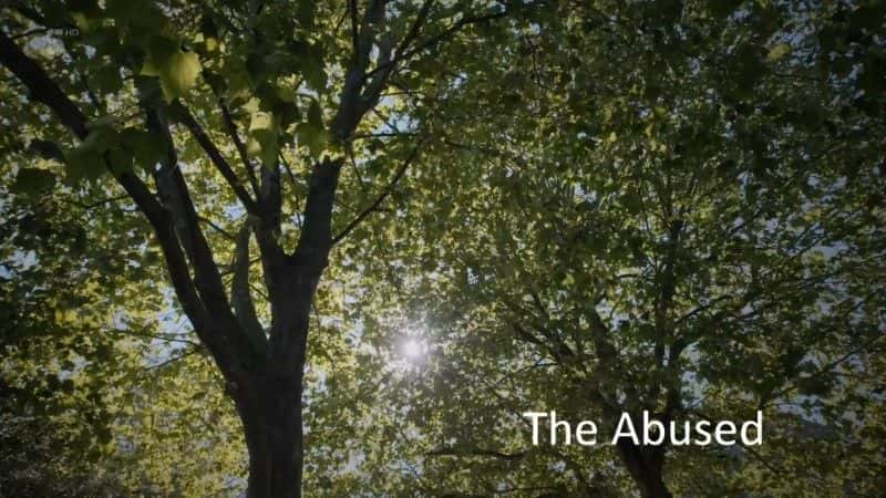 The Abused (CH5) - 纪录片1080P/720P/360P高清标清网盘迅雷下载