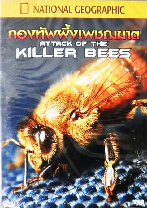 Attack of the Killer Bees - 纪录片1080P/720P/360P高清标清网盘迅雷下载